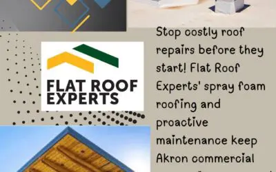 What Building Owners Should Know About Flat Roof Maintenance and Spray Foam Roofing from Flat Roof Experts