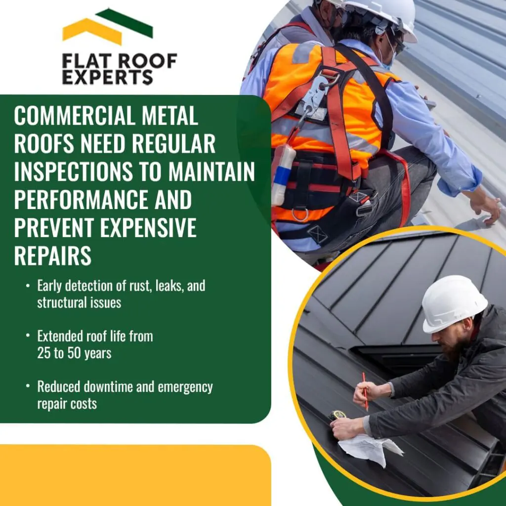 two professional roofers in safety gear inspecting metal roofs