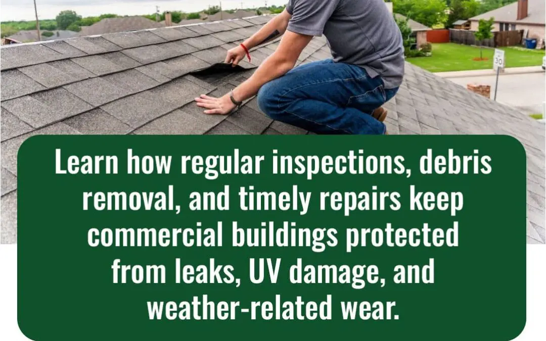 How to Maintain Your Roof Coating for Maximum Durability by Flat Roof Experts LLC